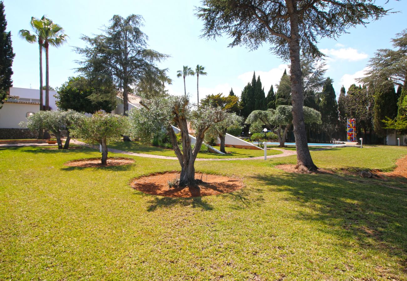 Villa en Pedreguer - Moderna Villa con piscina y jardín Finca La Xara