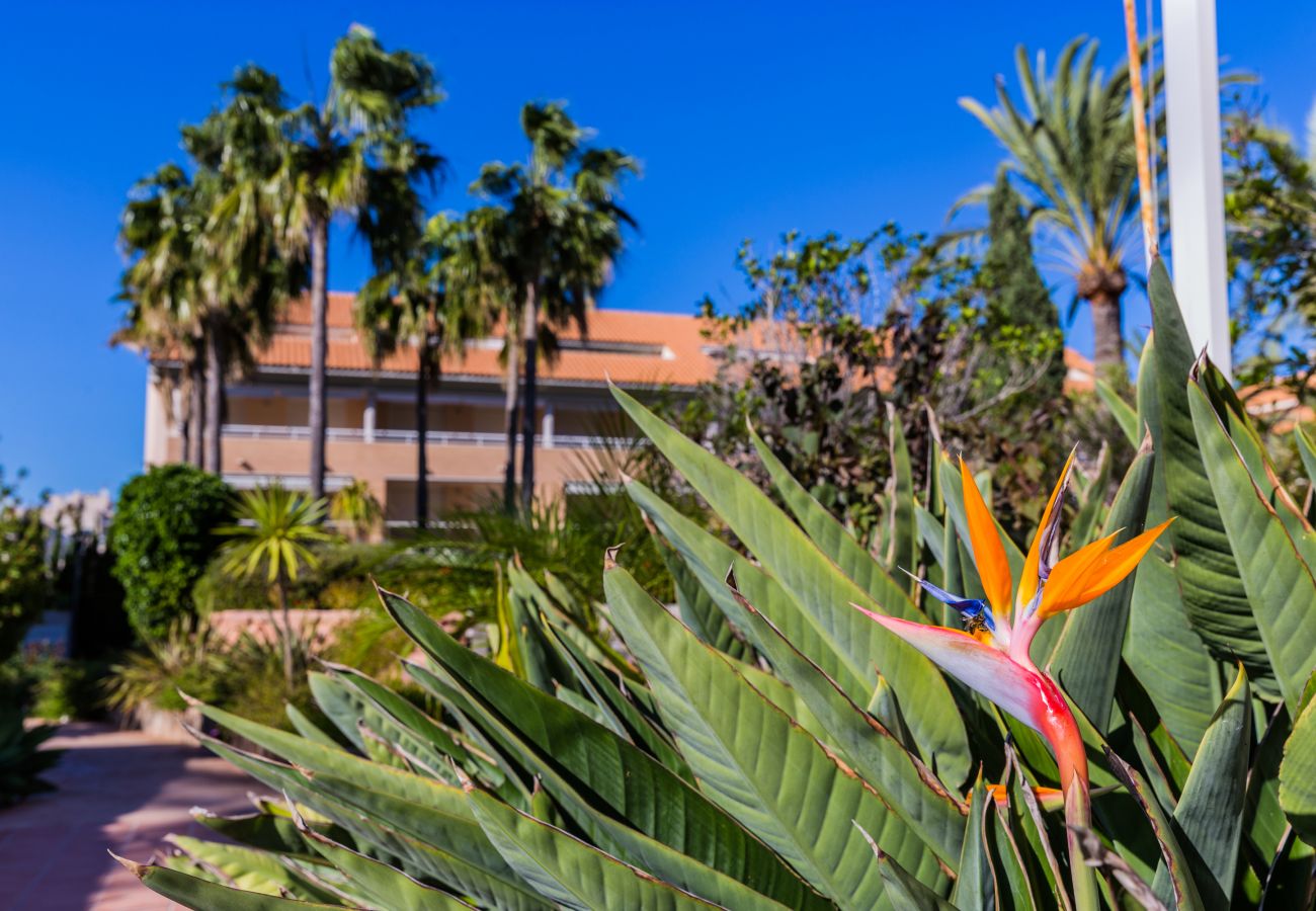 Apartamento en Javea / Xàbia - Golden Gardens Apartment Javea Arenal, Terraza, AACC, Wifi y a solo 600m de la Playa 