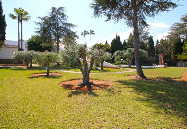 Villa in Pedreguer - Moderne Villa mit Pool uns Garten Finca La Xara