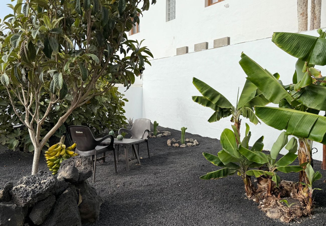 Ferienhaus in Tinajo - NoPasaNada: apartmento privado el Hierro, vistas al jardín