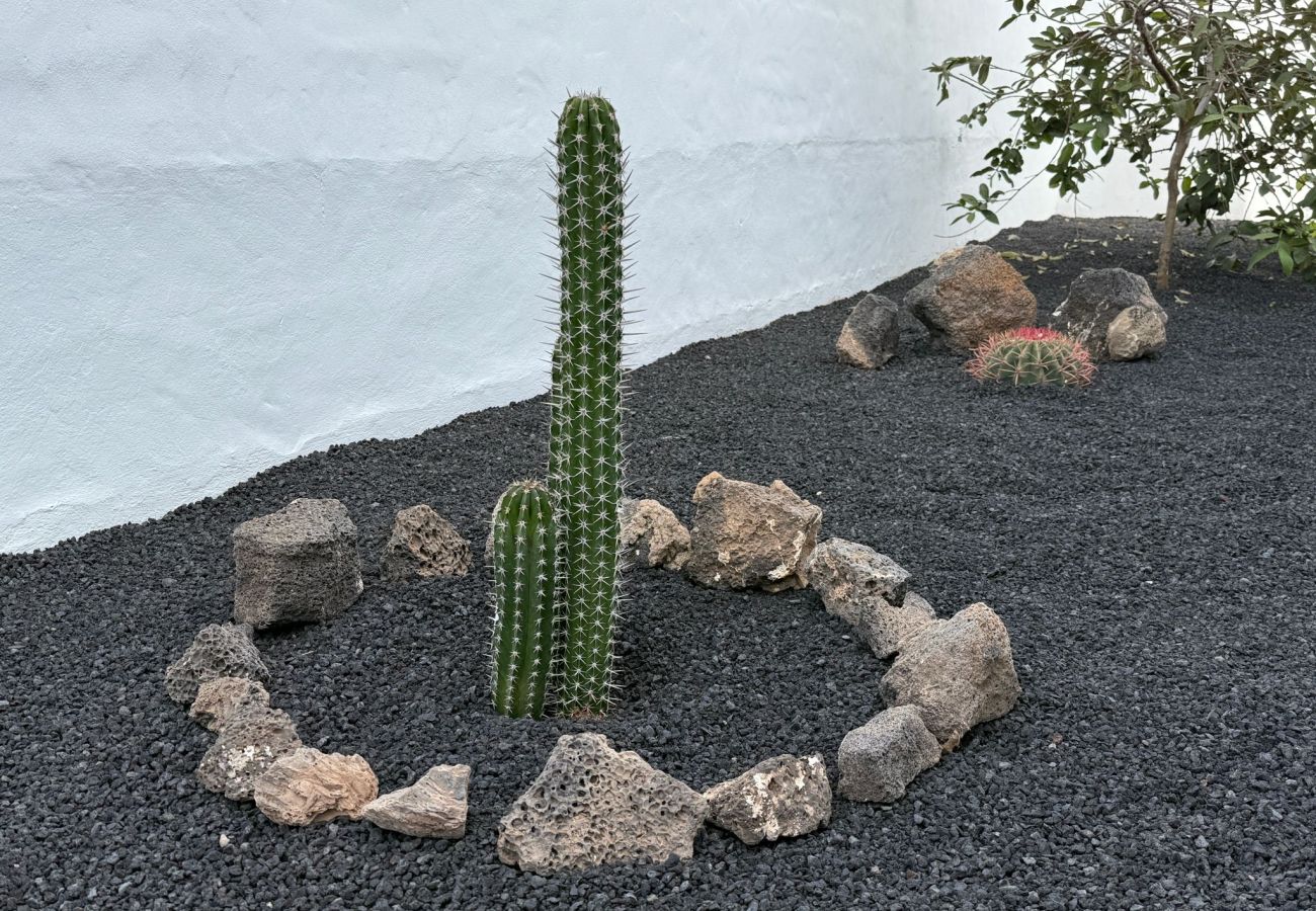Ferienhaus in Tinajo - NoPasaNada: apartmento privado el Hierro, vistas al jardín
