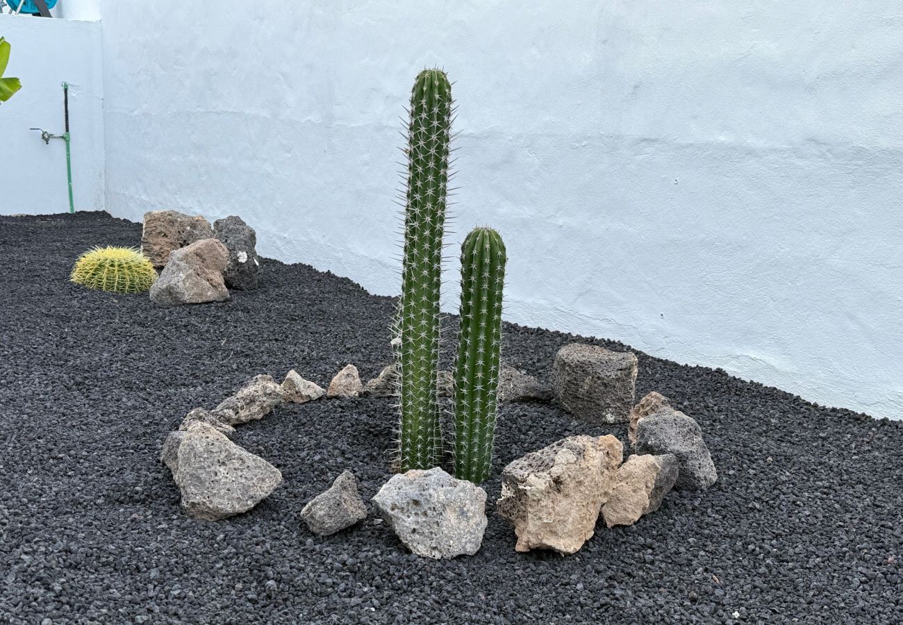 Ferienhaus in Tinajo - NoPasaNada: apartmento privado el Hierro, vistas al jardín