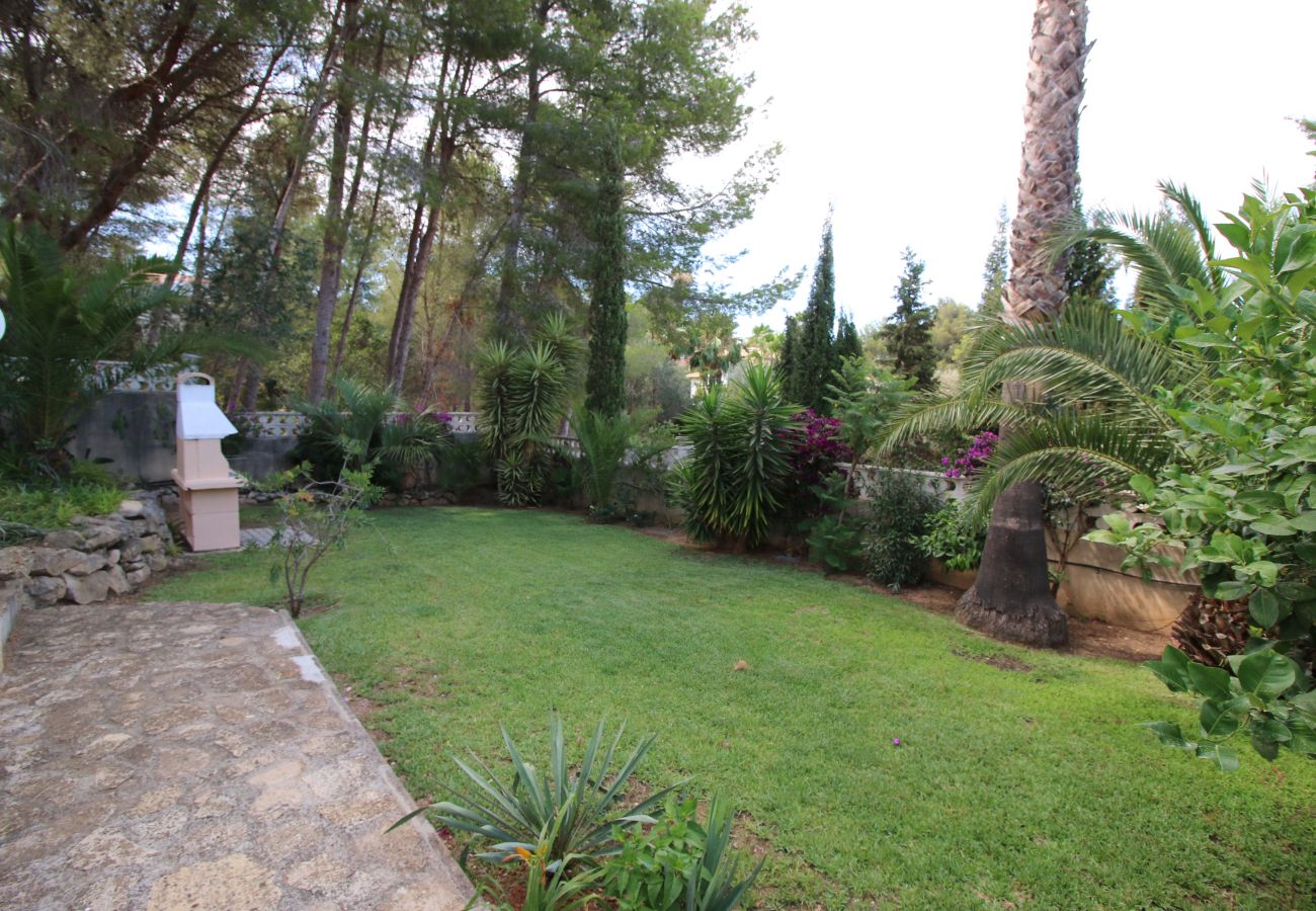 Villa in Denia - Large villa with air conditioning and pool Belem AL 10pers