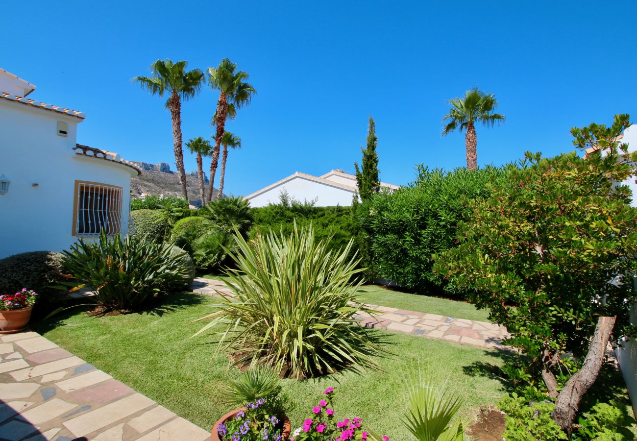 Villa in Vergel - Modern Villa with pool in Els Poblets ER