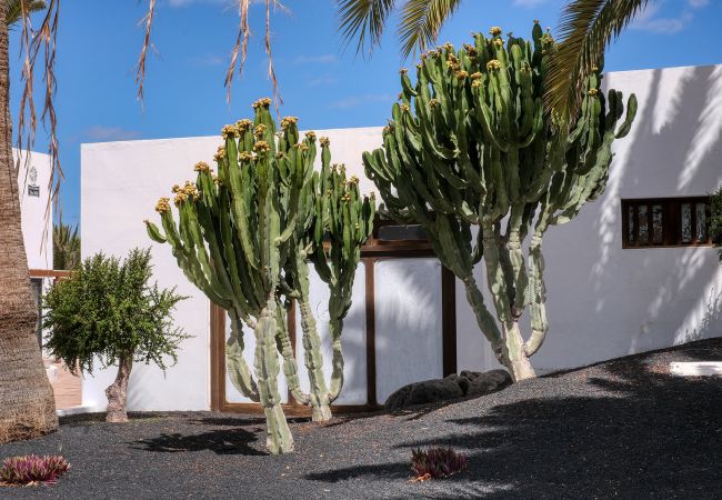 House in Costa Teguise - Los Molinos Luxury and Relax 