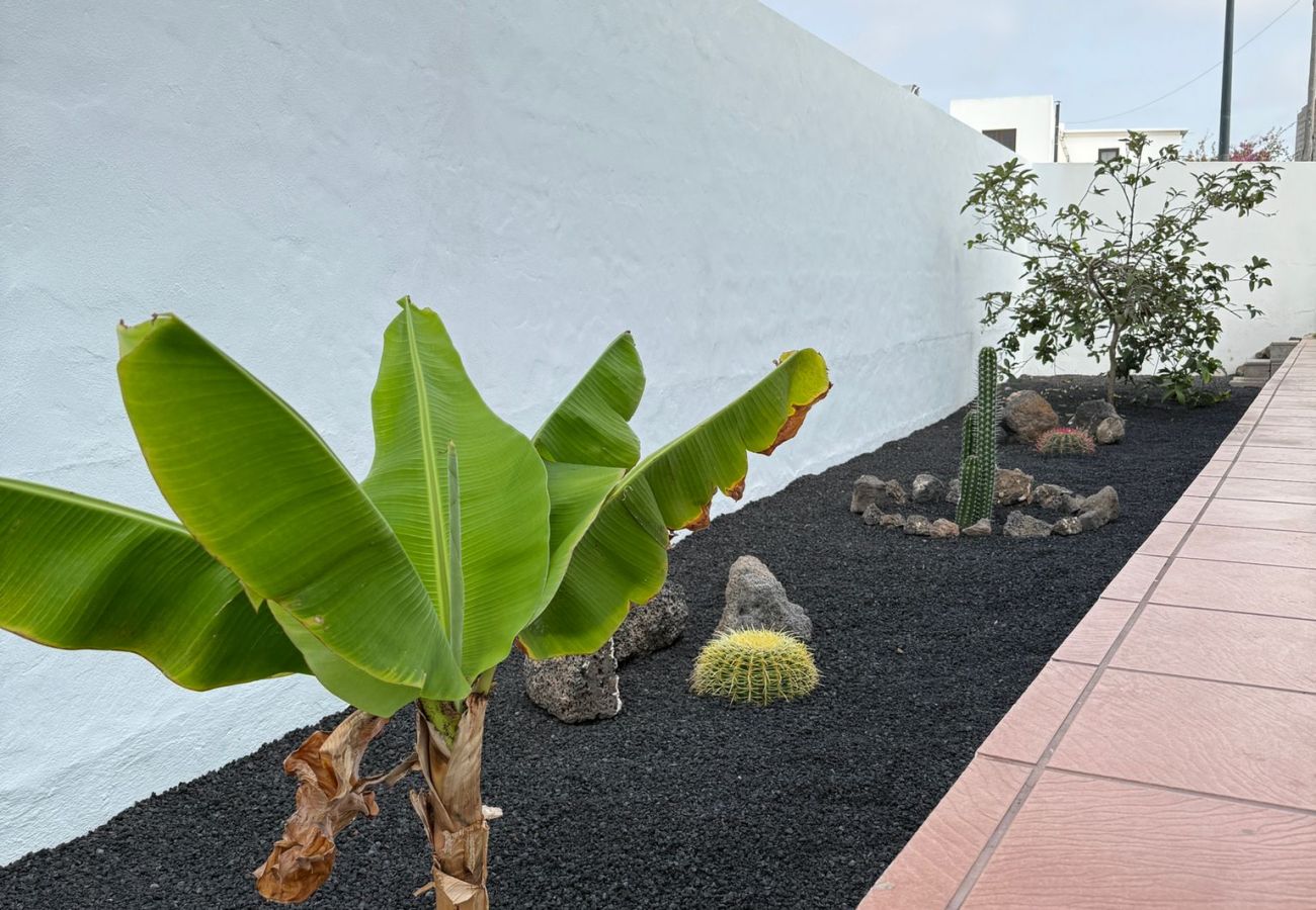 Dom w Tinajo - NoPasaNada: apartmento privado el Hierro, vistas al jardín